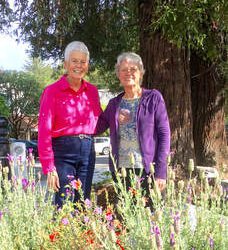 Mill Valley City Council Toasts the Remarkable Contributions of Joan Murray, a Dedicated Community Leader and Advocate for Positive Change