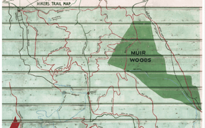 The Hiker’s Trail Map is Back! With Help From a Group of Dedicated Volunteers, Mill Valley History Society Installed a New & Improved Painted Mt. Tamalpais Hikers Trail Map