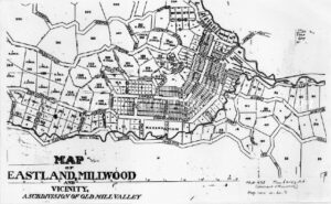 Old Mill Valley Map