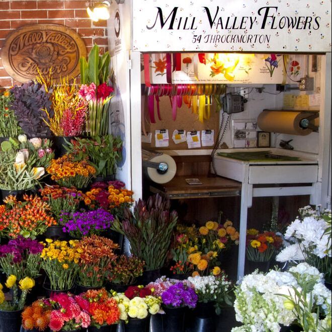 Mill Valley Flowers