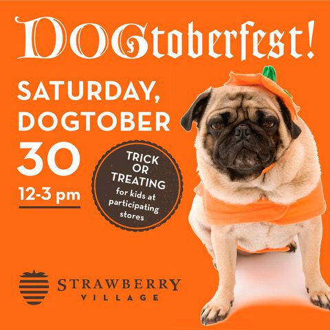 Strawberry Village, Woodlands Pet Foods & Treats Host Annual DOGtoberfest, Pet Costume Contest – Oct. 30, 12-3pm