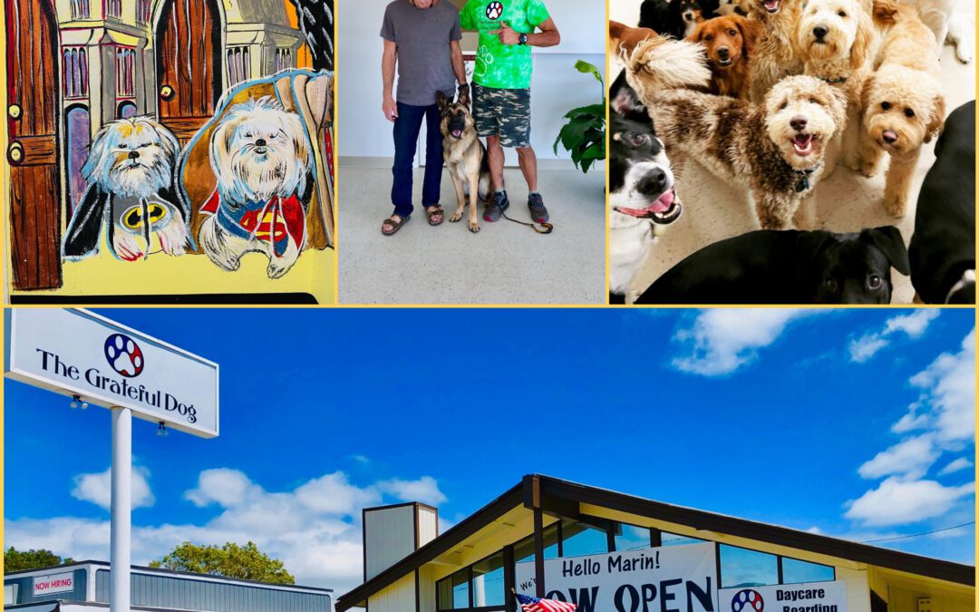 The Grateful Dog PlayCare Has Survived – and – Thrived Through the Pandemic