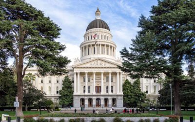 California Voice From Bob Stonebrook Via CalMatters: The best way to prepare for Trump is by fixing our state government