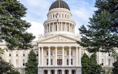 SF Chronicle: Here are 21 New Laws that Californians Must Start Following in 2025