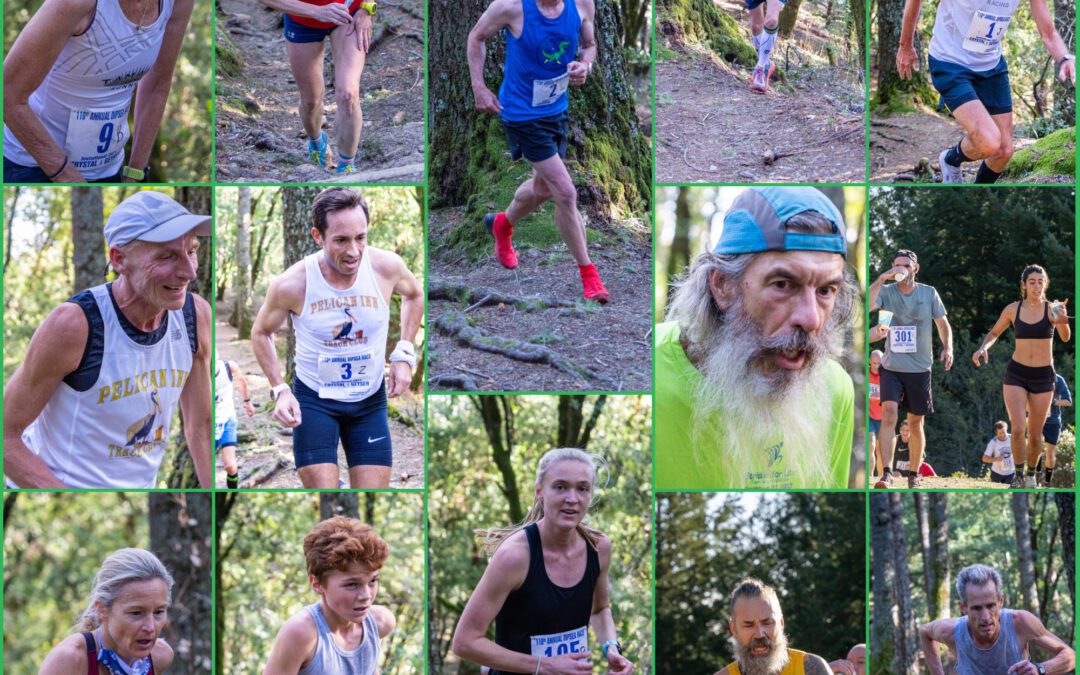 Annual Dipsea Race Goes Virtual for 110th Edition’s Ceremony – March 5