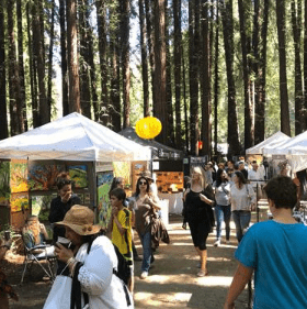 Mill Valley Fall Arts Fest Is Now Accepting Artist Applications for 2022