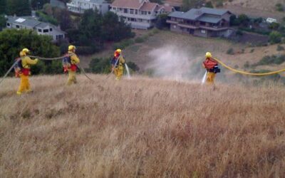 Marin IJ: Mill Valley Taps $500K for Wildfire Defense Buffer – Home Sellers in Rsky Areas Must Give Prospective Buyers Fire Inspection Reports, and Cities Must Update Building Standards to Qualify for for State Fire-Protection Grants