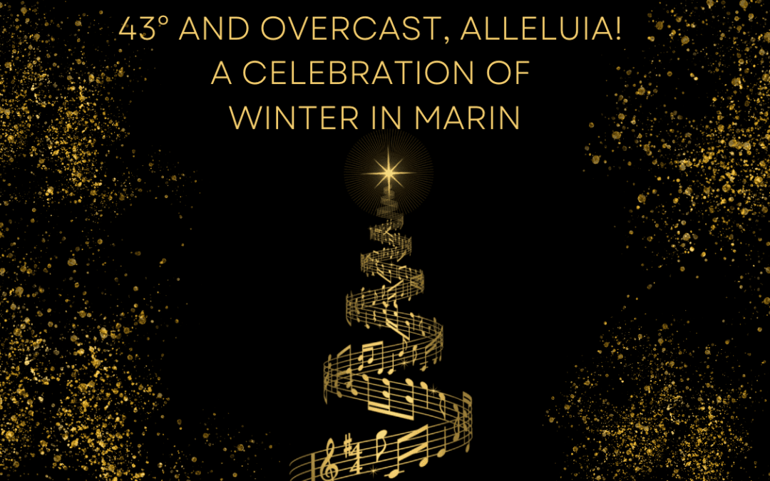 Singers Marin to Perform ’43° and Overcast, Alleluia: A Celebration of Winter in Marin’ – Dec. 11, 4pm