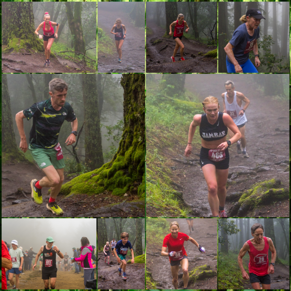 The 113th Dipsea Race Arrives on June 9th Who Will Best the Field in