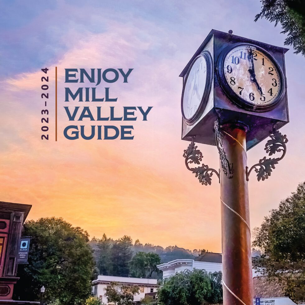 MV Chamber Hosts Photographer Bob Hemstock, Whose Shot of the