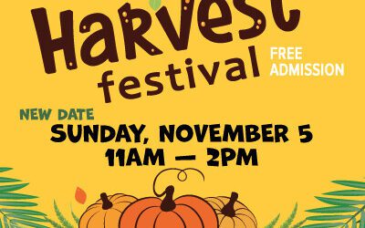 Marin JCC Hosts Harvest Festival, Featuring Fun, Food and Celebration – November 5, 11am-2pm