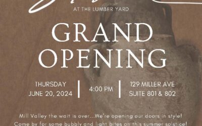 The Still Collective, a Staging and Design Company Offering a ‘Soulful Nod to California Casual Living,’ Opens Their a Retail Store This Week at the Iconic MV Lumber Yard – Thursday, June 20, 4pm