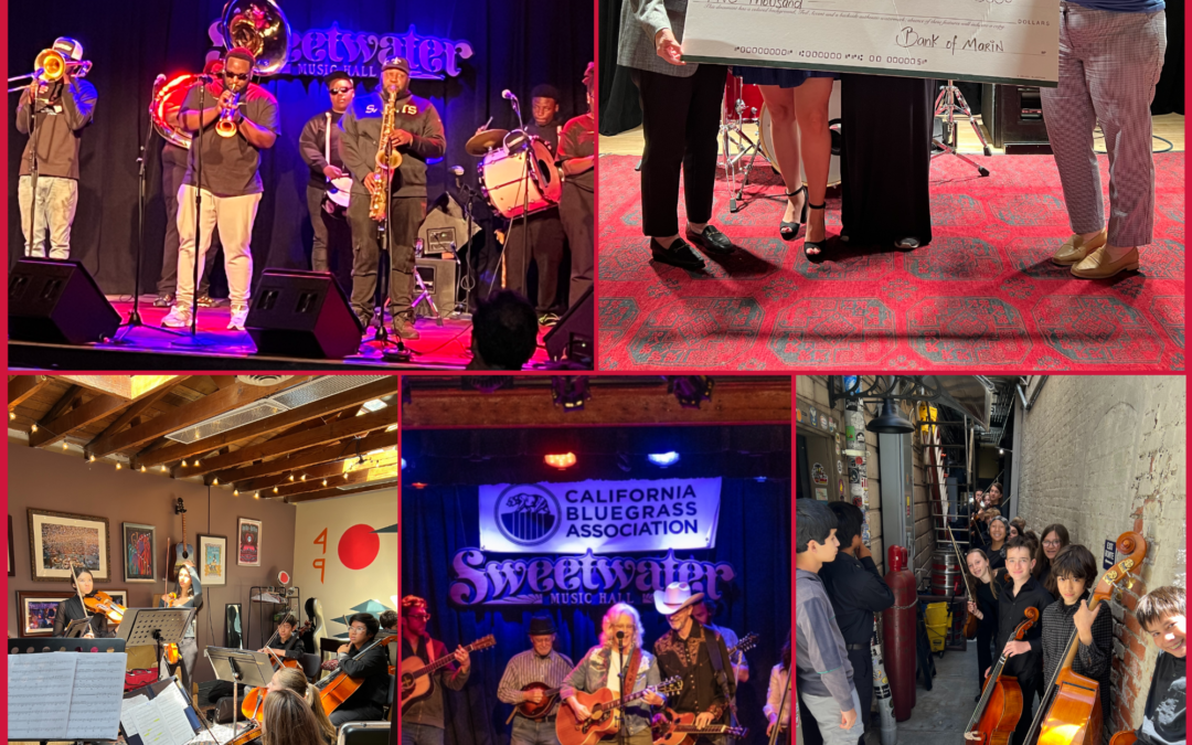 The Sweetwater Music Hall’s Transition to a 501(c)3 Is An Absolute Game Changer – to the Benefit of Other Nonprofits and our Broader Community!
