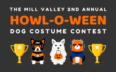 Fideaux, Spot Pet Care and Mill Valley Lumber Yard Team Up for 2nd Annual Howl-O-Ween Dog Costume Contest – Oct. 27th, 10:30am