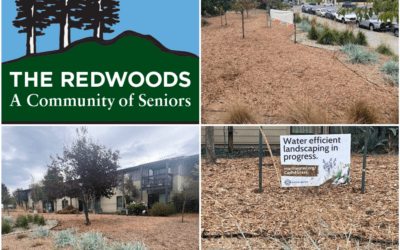 The Redwoods, A Community of Seniors in Mill Valley, Touts Environmental & Cost Reduction for Residents: Participation in Marin Municipal Water Program Has Reduced Water Usage by 33%!