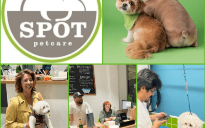 Spot Pet Care Unleashed: Longtime Mill Valley Dog Grooming Salon & Spa Hosts a Grand Opening to Their Fun, Spacious, Custom-Built Grooming Haven, Now in Strawberry Village Near Orange Theory Fitness!