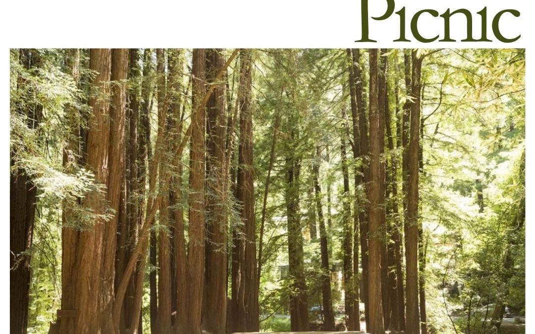 Church of Our Saviour: Join Us for an Annual Summer Picnic – Old Mill Park in the BBQ Area – June 15th, 11:15am-2pm