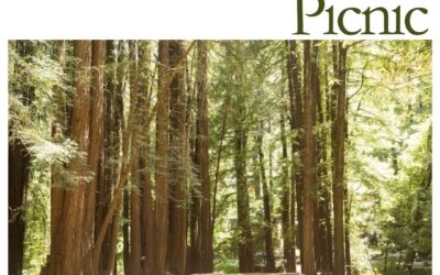 Church of Our Saviour: Join Us for an Annual Summer Picnic – Old Mill Park in the BBQ Area – June 15th, 11:15am-2pm