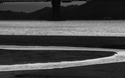 Arthur Drooker’s 36 Views of the Golden Gate Bridge! ArtWalk is Tuesday, June 3rd from 5:30 to 7:30 pm