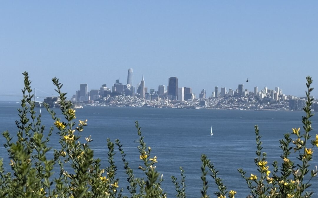 Tiburon Boulevard Bike Lane Critics Fail to Deter Caltrans’ Efforts to Safely Connect Mill Valley, Tiburon and the Tiburon Ferry to the Benefit of Both Residents and Tourists