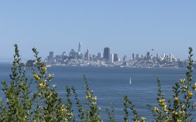 Tiburon Boulevard Bike Lane Critics Fail to Deter Caltrans’ Efforts to Safely Connect Mill Valley, Tiburon and the Tiburon Ferry to the Benefit of Both Residents and Tourists