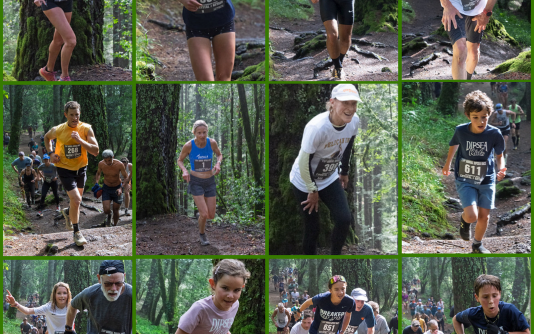 Marin IJ on the 114th Dipsea Race: On the Heels of Chris Lundy’s Trifecta in 2024, Tiburon’s MacLean Makes History With First Win – Congrats to all Dipsea Finishers!