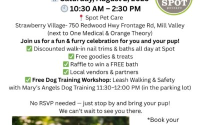 Spot Pet Care Hosts ‘Dog Days of Summer’!! Saturday, August 2nd, 10:30am-2:30pm
