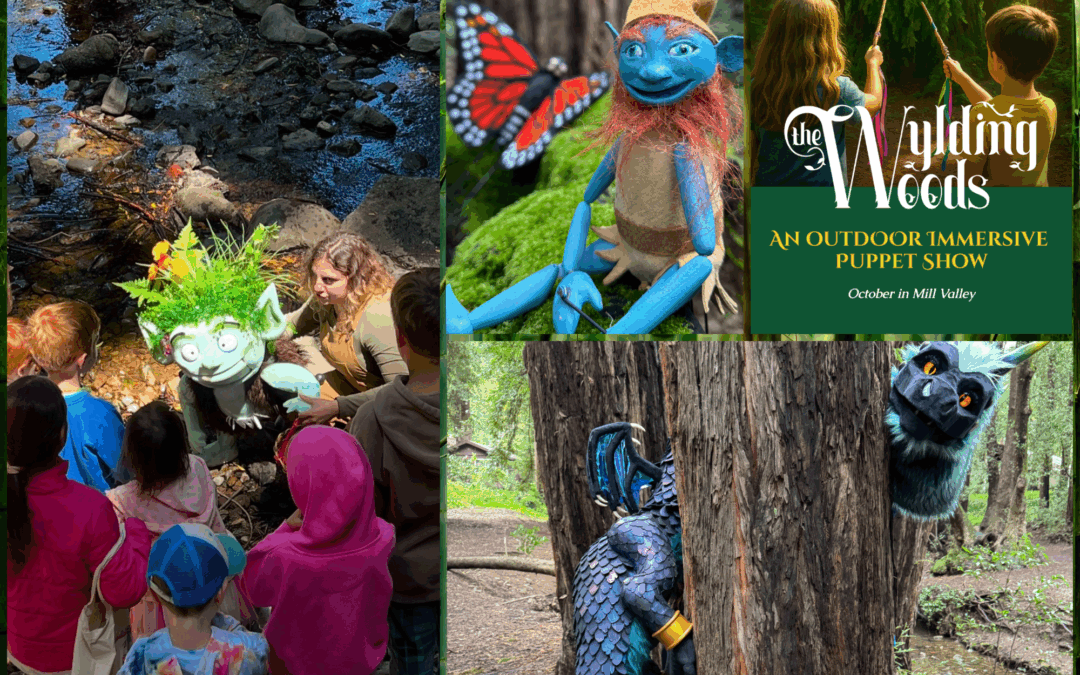Woander Owner Matthew Purdon Brings Families Into a Living Fairy Tale with The Wylding Woods!