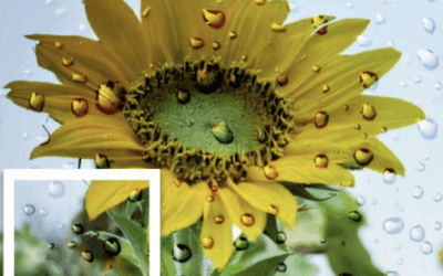 Art at the Depot: First Tuesday ArtWalk | Dec. 2nd, 5:30-7pm, “Neurodiverse Voices” Curated by Sally Cote, Janet Miller, Sunila Bajrach