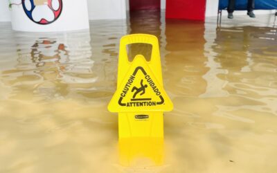 The Grateful Dog Marin: Bobby Weir’s Former Doggy Daycare is Fighting to Stay Afloat After the King Tide Floods