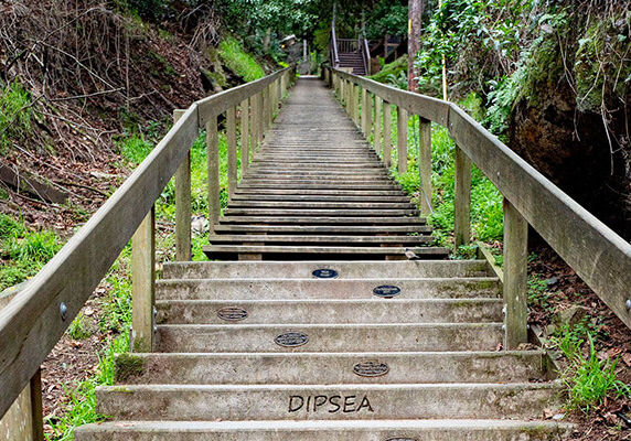 stairs on pathway